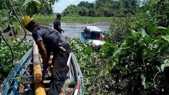 Cerita PLN Bikin Pembangkit Listrik di Atas Tanah Rawa Kalimantan
