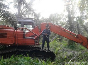 Tim KLHK Sita Alat Berat di Taman Nasional Tesso Nilo
