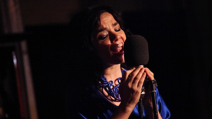 57393762 NEW YORK - MAY 08: Singer Bjork and The Dirty Projectors perform onstage at Housing Works Bookstore Cafes