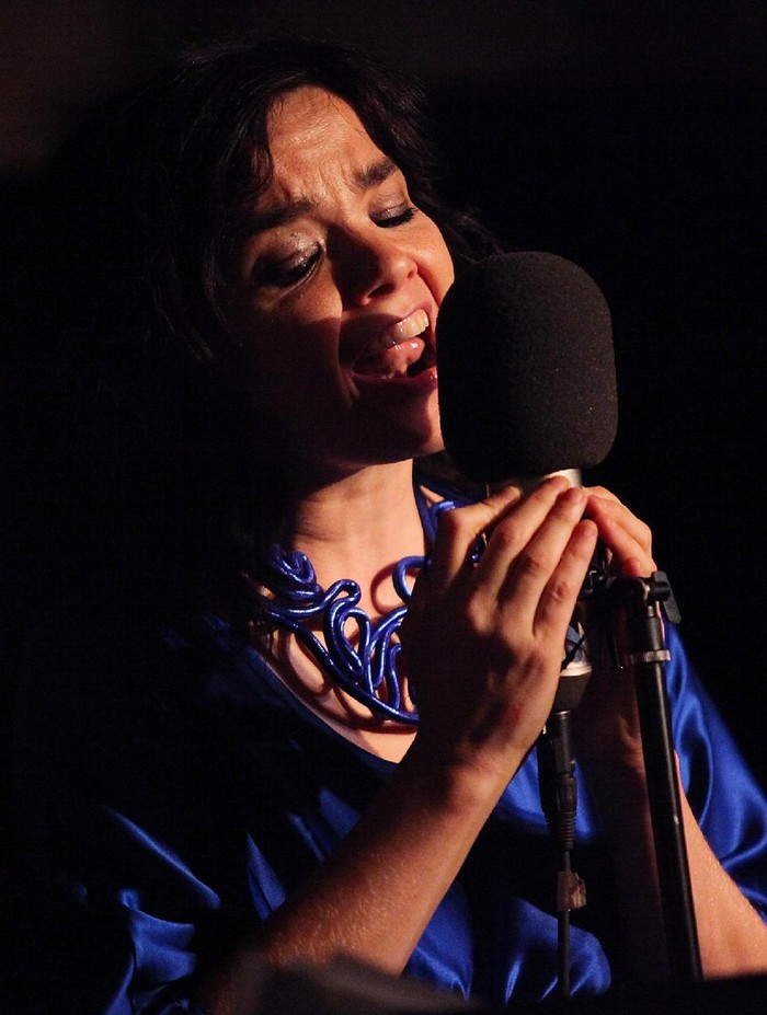 57393762 NEW YORK - MAY 08: Singer Bjork and The Dirty Projectors perform onstage at Housing Works Bookstore Cafes Live from Home benefit concert series at Housing Works Bookstore Cafe on May 8, 2009 in New York City. (Photo by Roger Kisby/Getty Images)