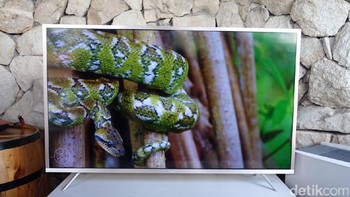 TCL turut melengkapi televisi ini dengan teknologi HDR untuk mendongkrak kualitas gambar. (Foto: detikINET/Adi Fida Rahman)