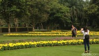 Traveler yang singgah ke Puncak bisa sekalian melihat keindahan alam di Taman Bunga Nusantara yang terletak di Sukaresmi, Cianjur. Ada begitu banyak bunga cantik di sana (Afif/detikTravel)