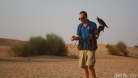 Dubai Desert Conservation Reserve, kawasan gurun pasir di Dubai menampilkan pertunjukan elang berburu. Di sini pula turis akan mengenal betapa berharganya seekor elang (Afif/detikTravel)