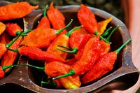 Carolina Reaper, salah satu cabai terpedas di dunia.