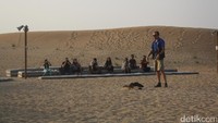 Sekarang hanya sedikit orang-orang Timur Tengah yang masih berburu dengan elang. Di Dubai sendiri, berburu dengan burung elang sudah jadi atraksi wisata dan olahraga (Afif/detikTravel)