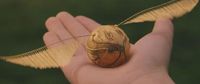 Unik, Cincin Tunangan Ini Mirip Bola Golden Snitch Harry Potter