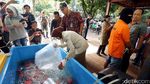 Polisi Tangkap Pengekspor Ilegal 30 Ribu Benih Lobster