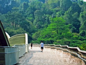 Jembatan Instagenic Tertinggi di Singapura