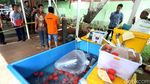 Polisi Tangkap Pengekspor Ilegal 30 Ribu Benih Lobster