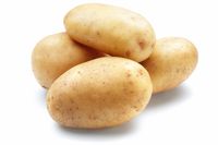 Video Resep: <i/>Cheezy Potato Au Gratin</i>