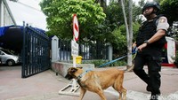 Anjing pelacak melakukan penyisiran di luar gereja.