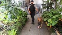 Polisi dan anjing pelacak menyisir taman di luar Gereja Katedral.