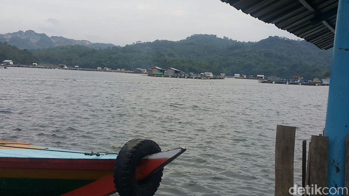 Terduga Teroris yang Digerebek di Waduk Jatiluhur Berafiliasi ke Bahrun Naim