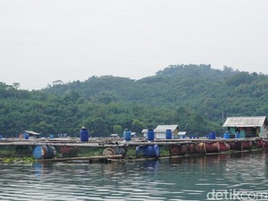 Bupati Purwakarta: Jika Waduk Jatiluhur Diledakkan, Istana Presiden Terendam