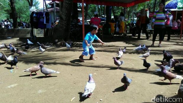 Long Weekend di Trenggalek Ada Ekowisata Mangrove