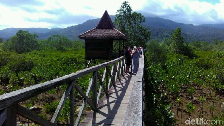 Long Weekend Di Trenggalek Ada Ekowisata Mangrove