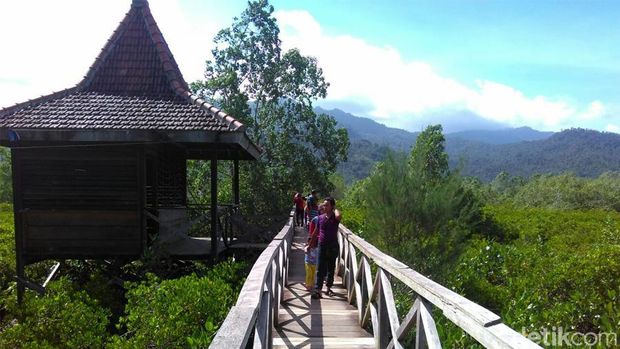 Long Weekend di Trenggalek Ada Ekowisata Mangrove