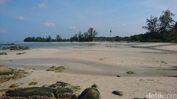 Pantai Trikora yang landai dan indah (Masaul/detikTravel)