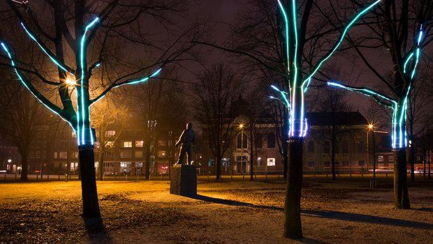 Tree Hugger karya Daan van Hasselt & Asia Jackowska (Janus van den Eijnden/Amsterdam Light Festival)