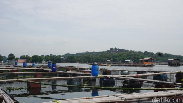 Bupati Purwakarta Minta Waduk Jatiluhur Bersih dari Jaring Apung