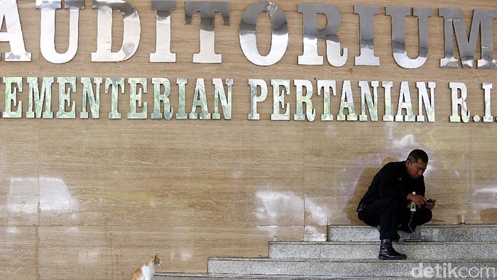 Kementan Anggarkan Rp 737 Miliar Jaga Pasokan Pangan Daerah 2017