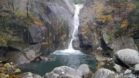 Foto: Tinggi air terjun mencapai sekitar 30 meter. Saat musim gugur memang tampak lebih indah dengan air mengalir deras dan berhias pepohonan dengan daun-daun kecoklatan hingga kemerahan (Kurnia/detikTravel)