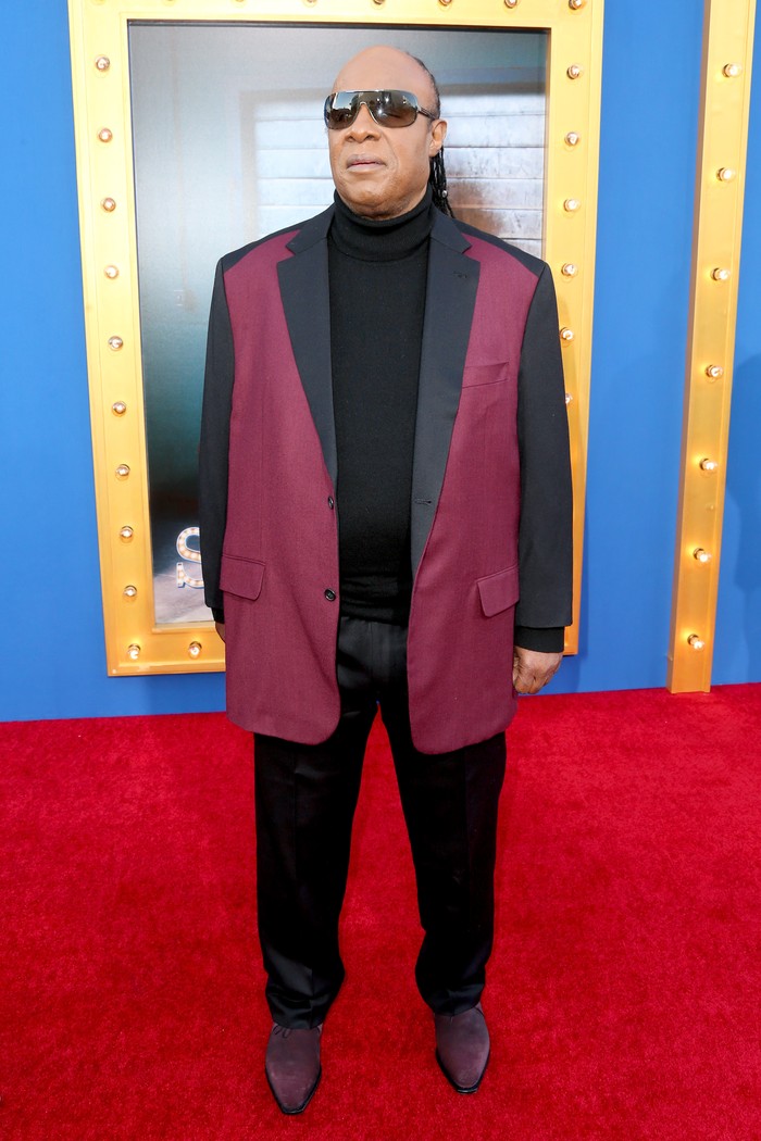 Stevie Wonder LOS ANGELES, CA - DECEMBER 03: Musician Stevie Wonder attends the premiere Of Universal Pictures Sing on December 3, 2016 in Los Angeles, California. (Photo by Frederick M. Brown/Getty Images)