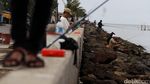 Menikmati Sore di Muara Baru