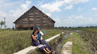 Los Mbako digunakan untuk mengeringkan tembakau setelah dipetik. Tembakau yang dikeringkan di sini adalah tembakau dengan kualitas super, bukan jenis tembakau yang dipakai untuk produk rokok lokal. (Muchus/detikTravel)
