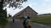 Los Mbako Meden merupakan bangunan yang digunakan oleh para petani untuk mengeringkan daun tembakau setelah dipetik dan sebelum dicacah untuk menjadi bahan baku cerutu dan rokok. Di Klaten, ada ratusan Los Mbako di areal persawahan. (Muchus/detikTravel)