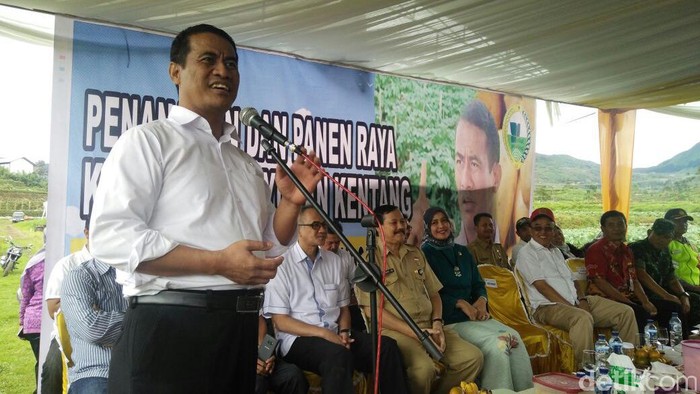 Mentan: Produksi Kentang RI 1,2 Juta Ton, Impor Hanya 29.000 Ton/Tahun