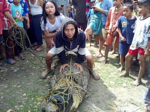 Empat Sudah Ditangkap, Diduga Ada 4 Buaya Lagi di Sungai Cidurian Tangerang