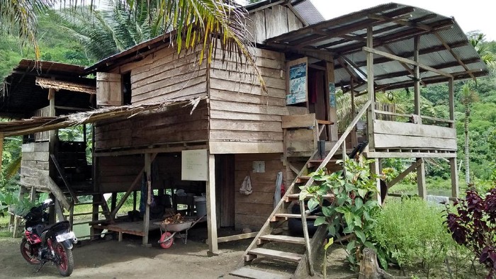 Wisata Kuliner Lezat di Luwuk, Ikan dan Air Kelapa Gunung