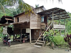 Wisata Kuliner Lezat di Luwuk, Ikan dan Air Kelapa Gunung