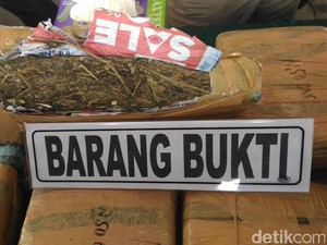 Polres Aceh Utara Gagalkan Penyelundupan 101 Kg Ganja ke Lampung