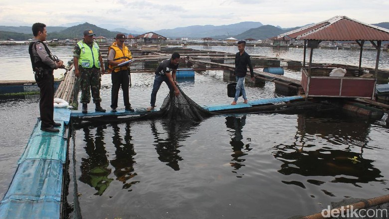 Antisipasi Teroris, Polisi Bersenjata Sisir Keramba di Waduk Jangari Cianjur Antisipasi Teroris, Polisi Bersenjata Sisir Keramba di Waduk Jangari Cianjur