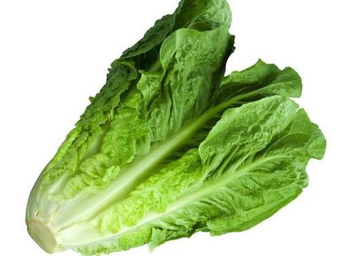 romaine lettuce