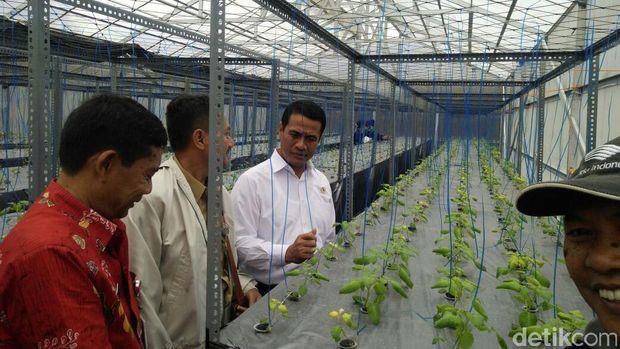 Mentan Amran kunjungi sentra petani kentang di Dieng