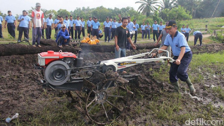 35 Trend Terbaru Sketsa Gambar Traktor Sawah - Tea And Lead