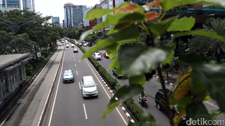 Siap-siap, Aturan Ganjil-Genap Dipermanenkan di Jalan 