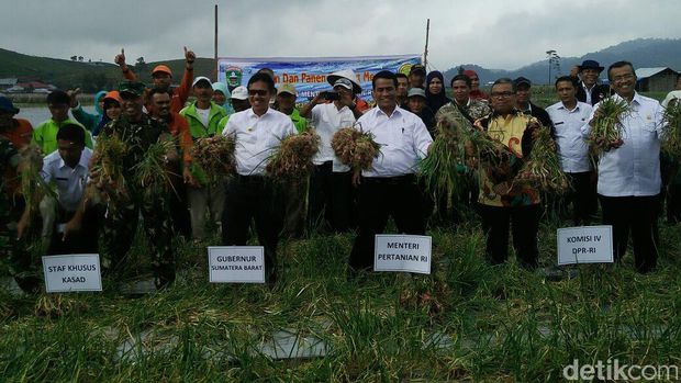 Mentan Amran panen bawang merah di Solok Sumatera Berat