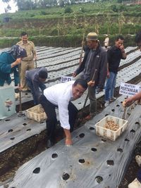 Mentan: Stop Impor Kentang dan Tingkatkan Produksi Kentang dalam Negeri