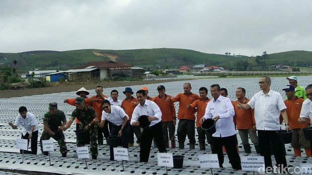 Mentan Amran Tanam Benih Bawang Merah di Solok-Sumatera Barat