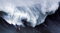 Penakluk ombak raksasa beraksi dalam sebuah sesi yang dilangsungkan di Praia do Norte, Nazare, Portugal. Setiap tahun para peselancar penantang maut datang ke lokasi ini untuk mencoba menjinakkan ombak-ombak raksasa yang tingginya bisa mencapai 20 meter lebih (Foto: AFP PHOTO / PATRICIA DE MELO MOREIRA)