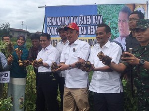 Mentan: Setop Impor Kentang dan Tingkatkan Produksi Kentang dalam Negeri