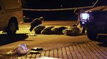 Polisi Australia Sita 1,1 Ton Kokain