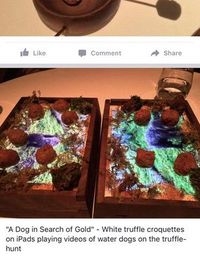 Restoran Berbintang Michelin Ini Sajikan Makanan di Atas iPad Sungguhan
