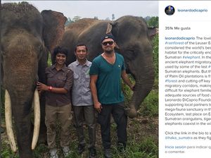 Foto Deretan Selebriti Dunia yang Peduli Alam Leuser