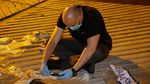 Polisi Australia Sita 1,1 Ton Kokain