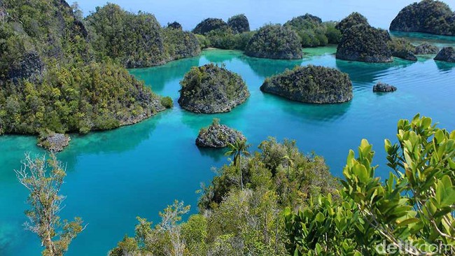 Januari: Jokowi Tahun Baruan di Raja Ampat dan Geger Bom Thamrin